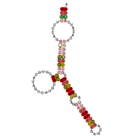 secondary structure