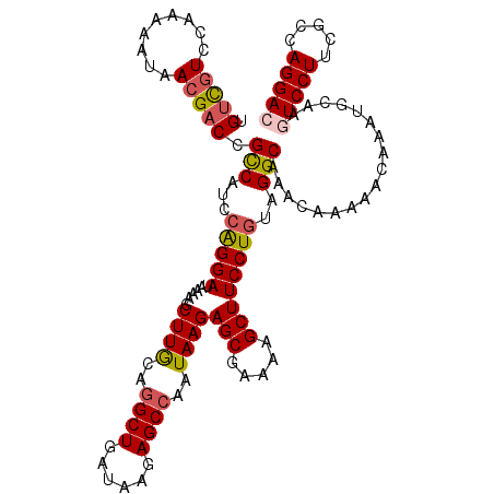 secondary structure