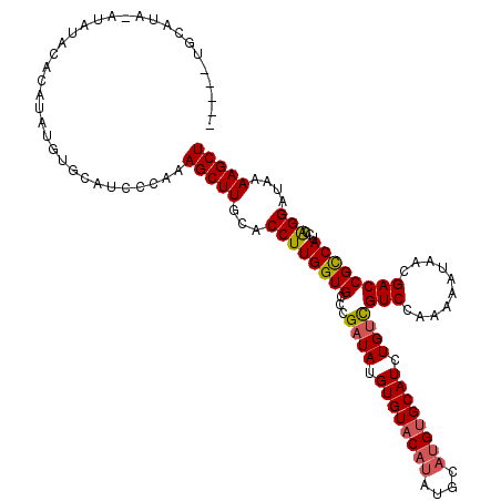 secondary structure