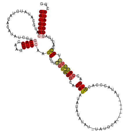 secondary structure