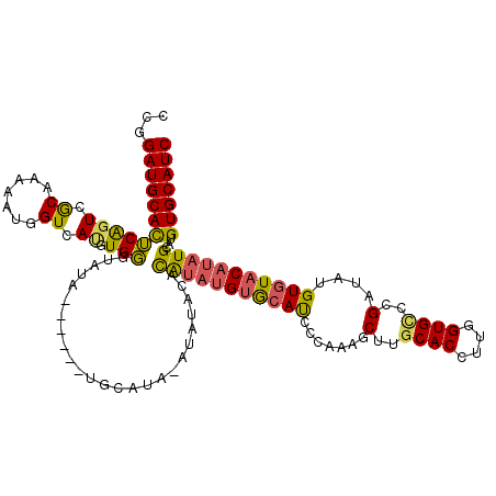 secondary structure