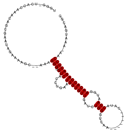 secondary structure