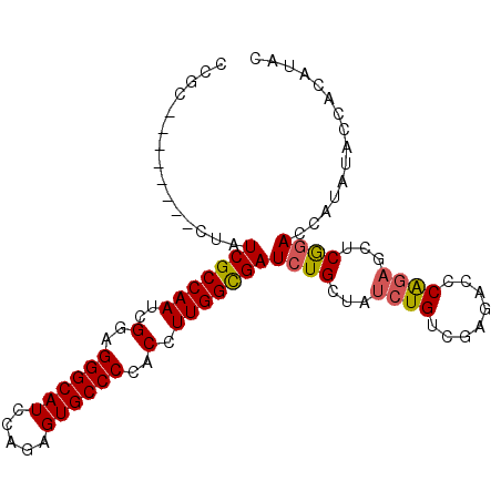 secondary structure