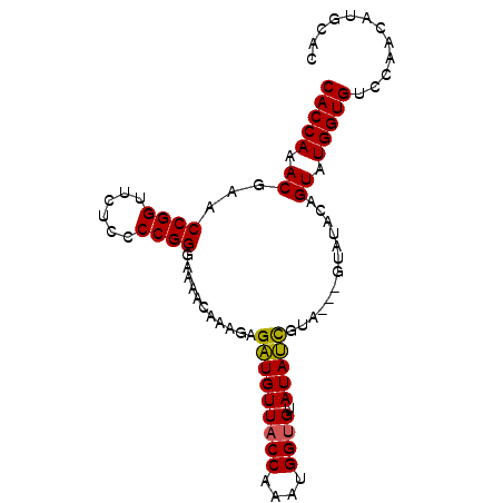 secondary structure