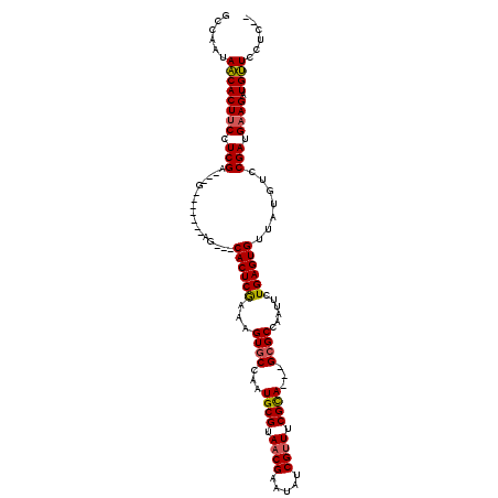 secondary structure