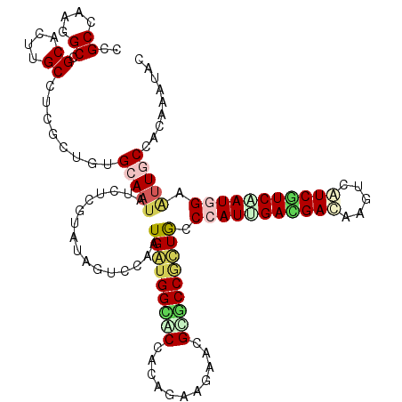 secondary structure