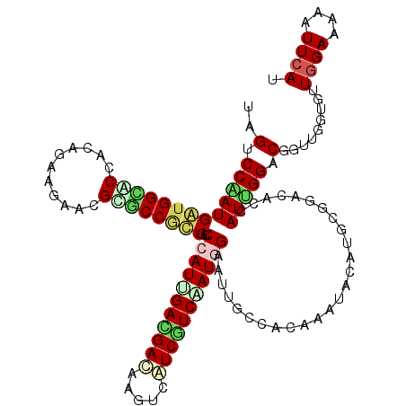 secondary structure