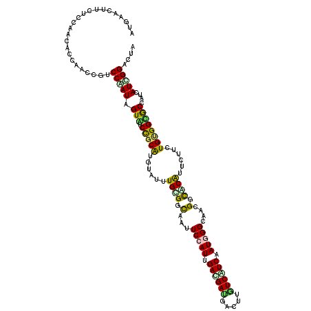 secondary structure