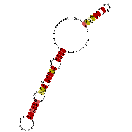 secondary structure