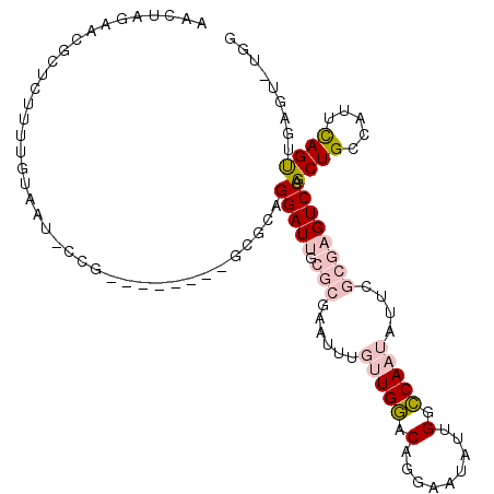 secondary structure