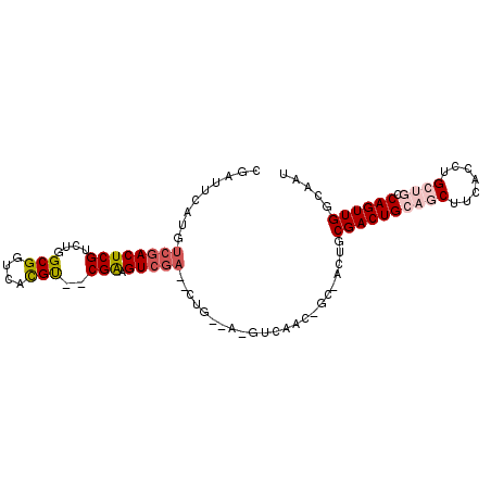 secondary structure