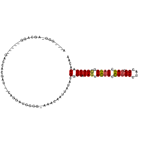secondary structure