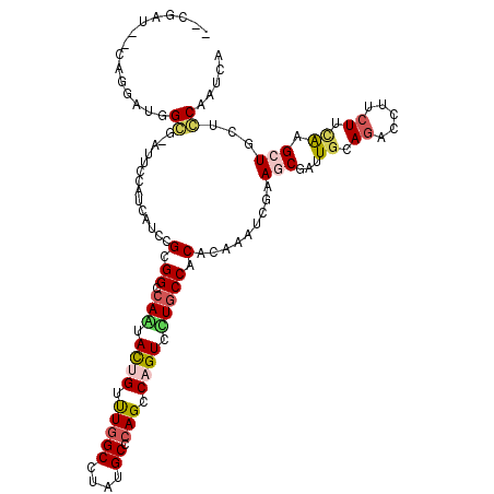 secondary structure