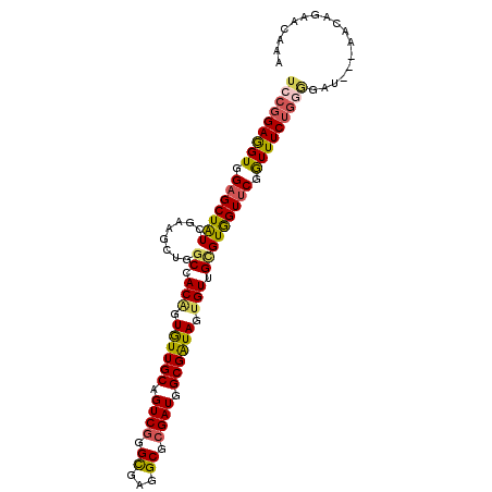 secondary structure