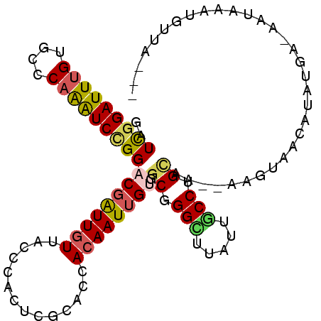 secondary structure