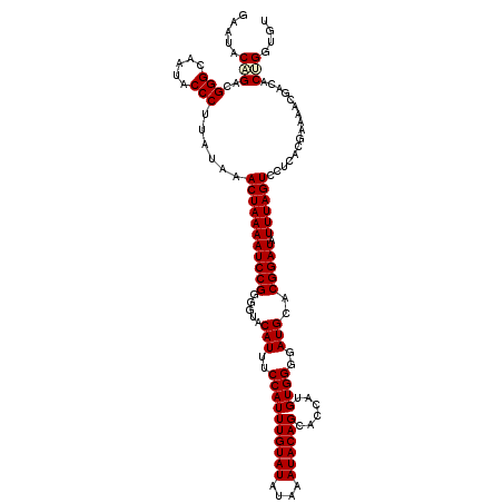 secondary structure