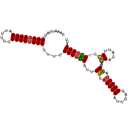 secondary structure