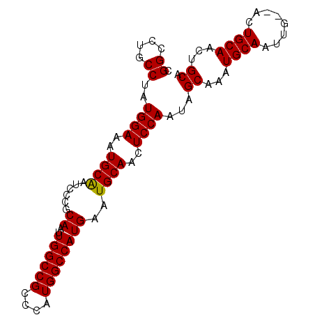secondary structure