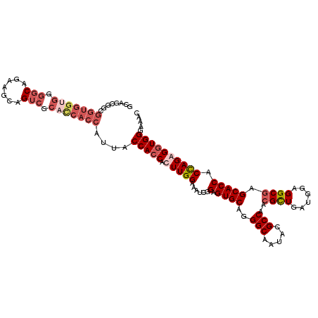 secondary structure