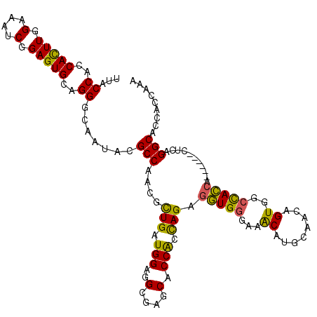 secondary structure