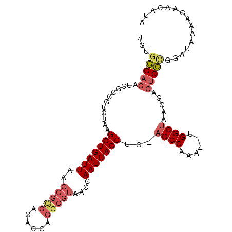 secondary structure