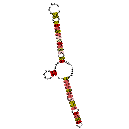 secondary structure