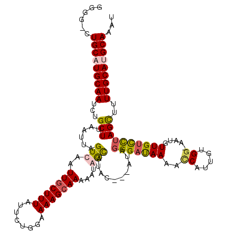 secondary structure