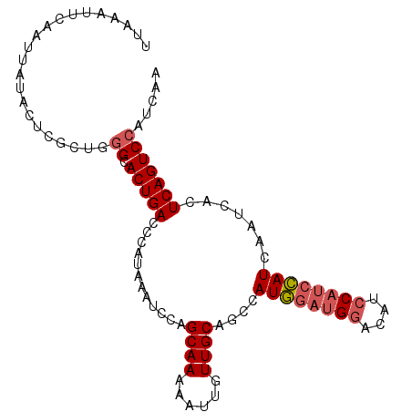 secondary structure