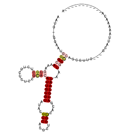 secondary structure