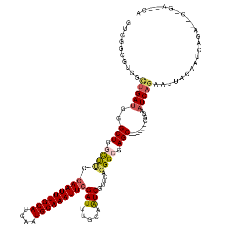 secondary structure