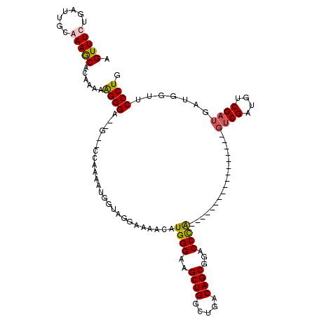 secondary structure