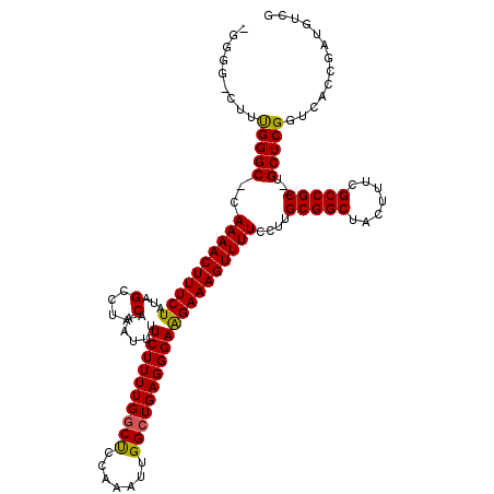 secondary structure