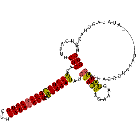 secondary structure