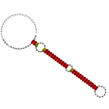 secondary structure