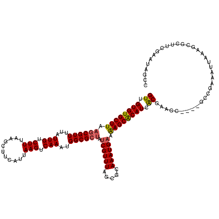 secondary structure