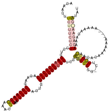 secondary structure