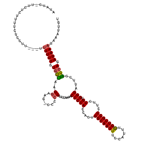 secondary structure