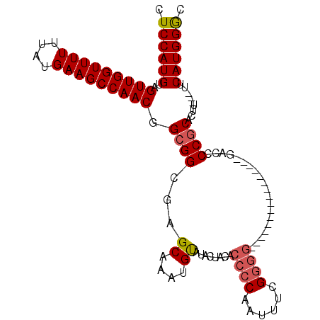 secondary structure