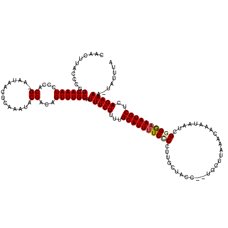 secondary structure