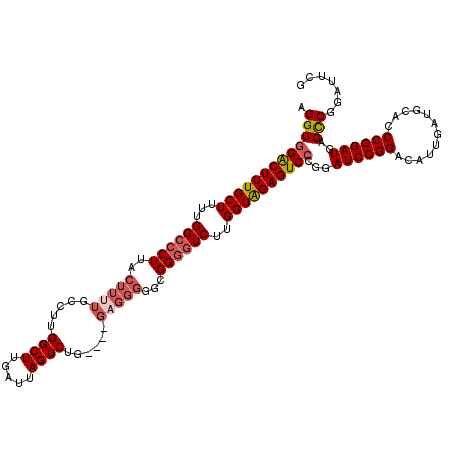secondary structure