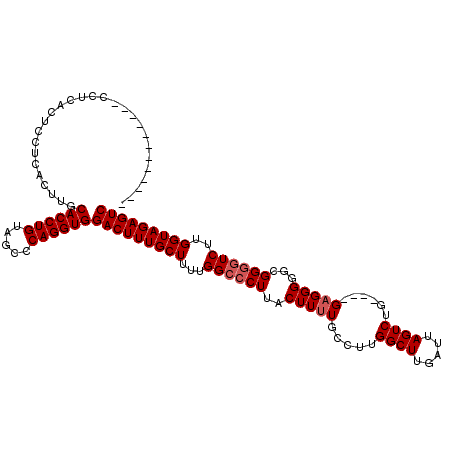 secondary structure