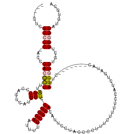 secondary structure