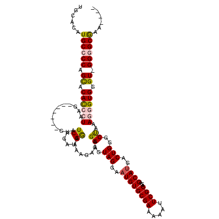 secondary structure