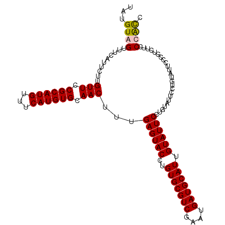 secondary structure