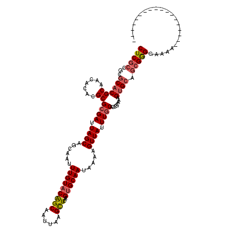 secondary structure