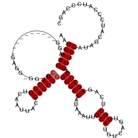 secondary structure