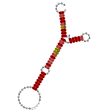 secondary structure