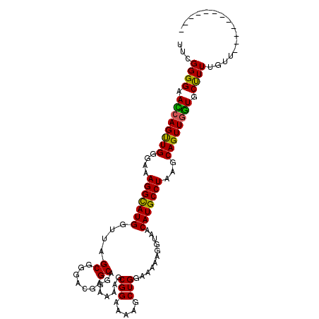 secondary structure