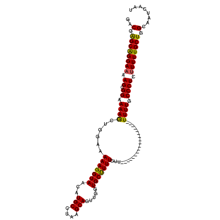 secondary structure
