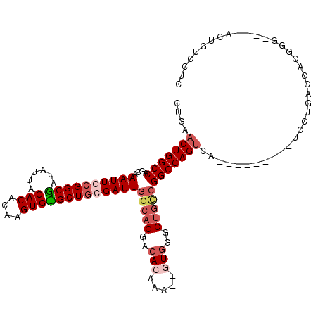 secondary structure
